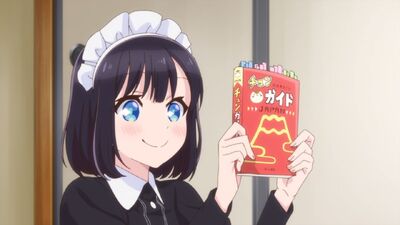 The Food Diary of Miss Maid