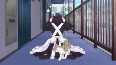 The Food Diary of Miss Maid