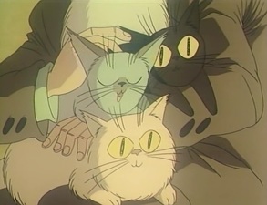 Neko Hiki no Oruorane