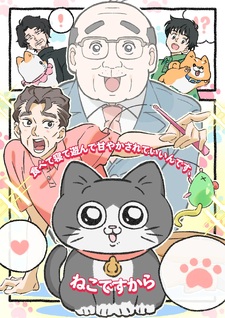 Neko Oji: The Guy that got Reincarnated as a Cat