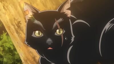 The Cat and the Dragon