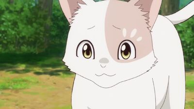 The Cat and the Dragon