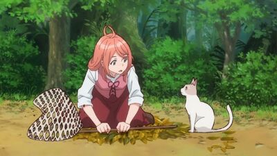 The Cat and the Dragon