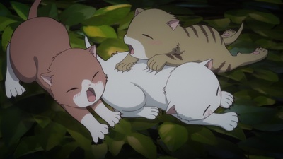 The Cat and the Dragon