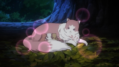 The Cat and the Dragon