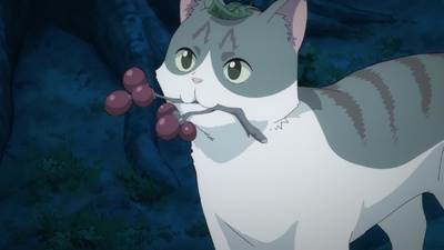 The Cat and the Dragon