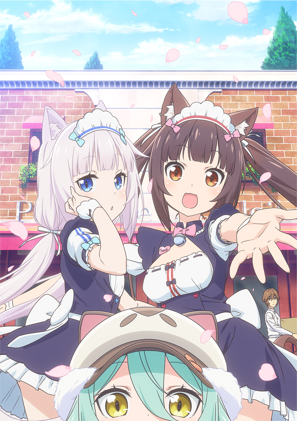 Nekopara TV