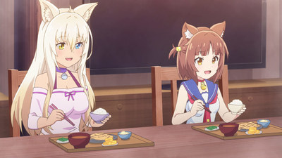 Nekopara TV