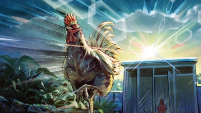 Rooster Fighter
