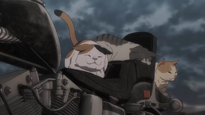 Nyaight of the Living Cat