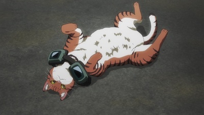 Nyaight of the Living Cat