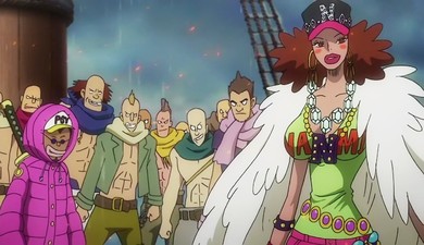 One Piece: Heart of Gold