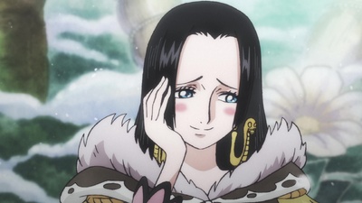 One Piece Log: Fish-Man Island Saga
