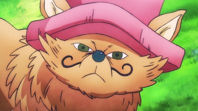 One Piece Log: Fish-Man Island Saga