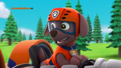 PAW Patrol - La squadra dei cuccioli