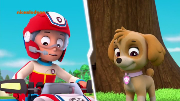 Paw Patrol La Squadra Dei Cuccioli Rocky