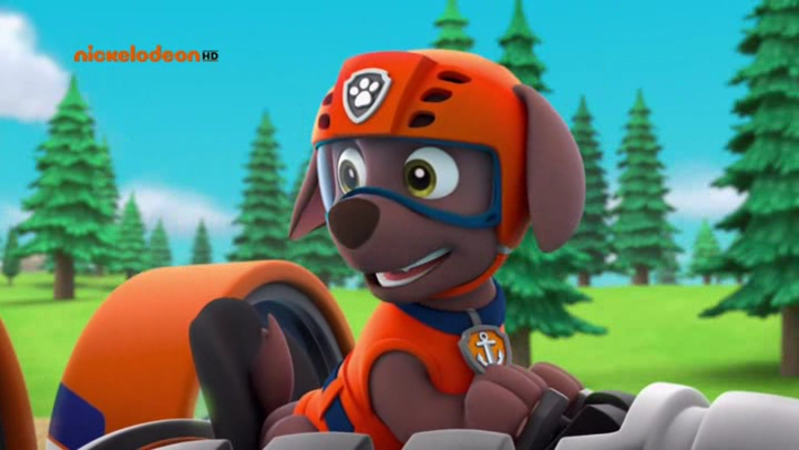 Paw Patrol La Squadra Dei Cuccioli Rocky
