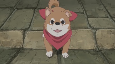 L'étoile de Paris en fleur