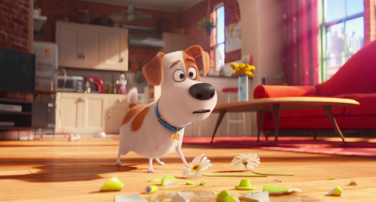 Pets - Vita da animali - Promo Video | Mediaset Infinity