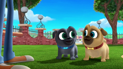 Puppy Dog Pals