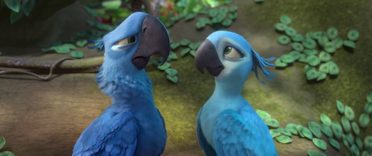 Rio 2 - Missione Amazzonia