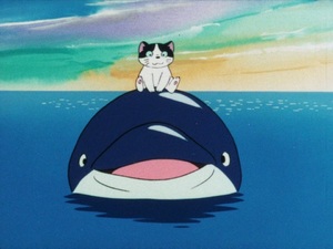 Sea Cat