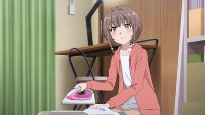 Rascal Does Not Dream of a Knapsack Kid