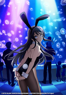 Rascal Does Not Dream of Bunny Girl Senpai