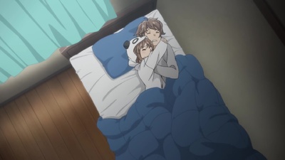 Rascal Does Not Dream of Bunny Girl Senpai