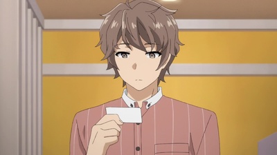 Rascal Does Not Dream of Bunny Girl Senpai