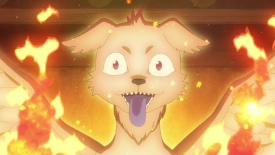 Shabake