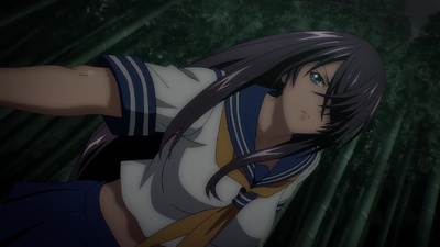 Shin Ikki Tousen