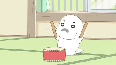 Shō 3 Ashibe QQ Goma-chan