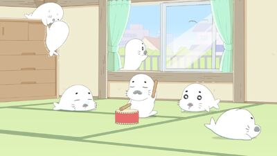 Shō 3 Ashibe QQ Goma-chan