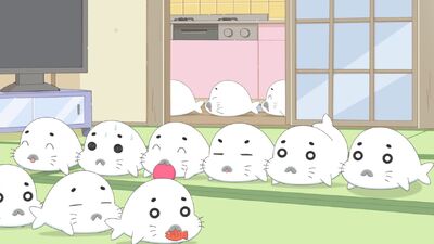 Shō 3 Ashibe QQ Goma-chan