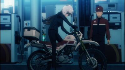 Touring After the Apocalypse