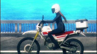 Touring After the Apocalypse