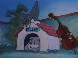 Solid Serenade