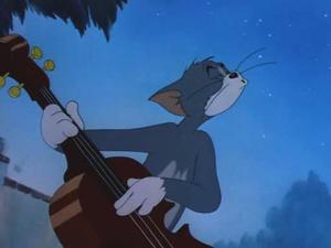 Solid Serenade