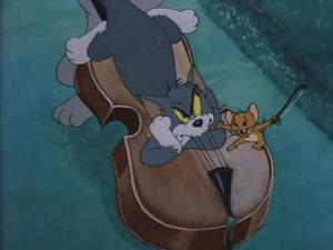 Solid Serenade