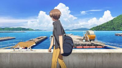 Summer Pockets