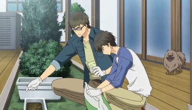 Super Lovers OVA