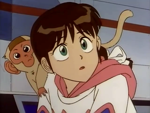 Taiyou no Yuusha Fighbird