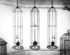 The Bird Store