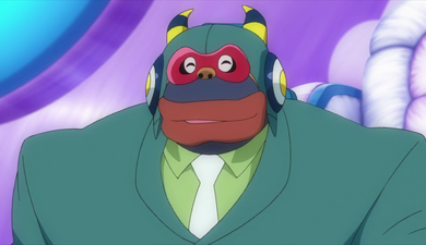 Time Bokan 24