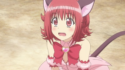 Tokyo Mew Mew New