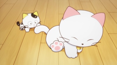 Uchi Tama?! Uchi no Tama Shirimasenka?