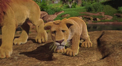 Uno zoo in fuga
