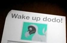 Wake up! Dodo