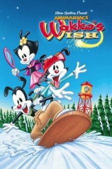 Wakko's Wish